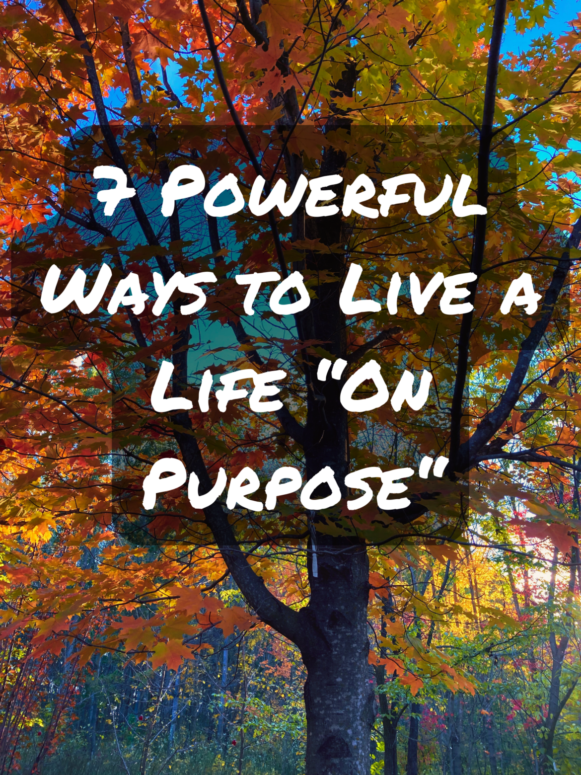 7 Powerful Ways to Live a Life “On Purpose” – From An Insightful Professor